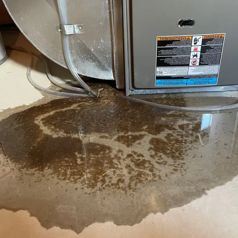 Pipe Burst and Leak Restoration in Becket, MA