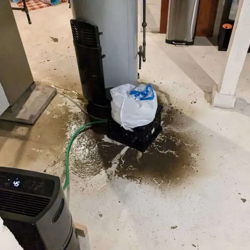 Sewage Backup Cleanup Service in Becket, MA